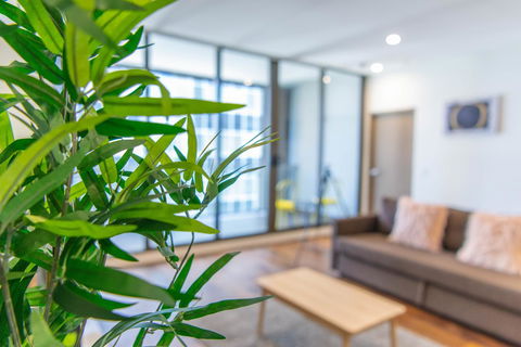 Sydney CBD Brand New Apartments With Hyde Park View - Accommodation Daintree 5