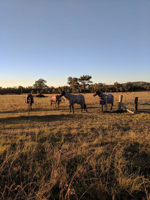 Madigan Wine Country Cottages - Accommodation Daintree 8