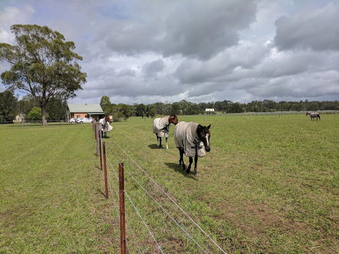 Madigan Wine Country Cottages - Accommodation Daintree 9