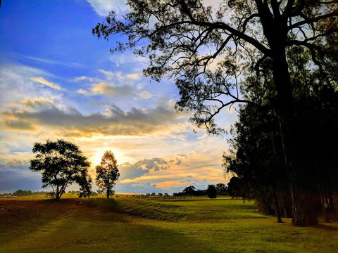 Madigan Wine Country Cottages - Accommodation Daintree 11