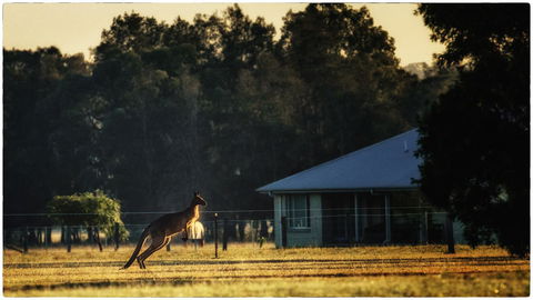 Madigan Wine Country Cottages - Accommodation Daintree 5