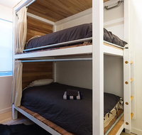 Jet Flamingo - Accommodation Daintree