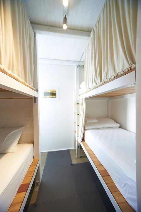Jet Flamingo - Accommodation Daintree 11