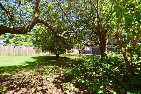 Wildlife Lodge Katoomba - Accommodation Daintree 26