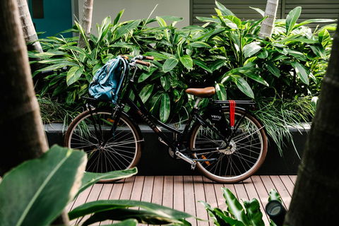 Veriu Camperdown - Accommodation Daintree 5