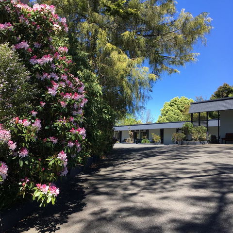 Sky Rider Motor Inn - Accommodation Daintree 24