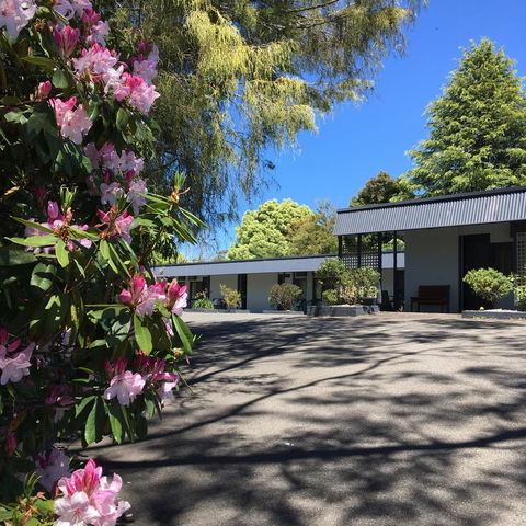 Sky Rider Motor Inn - Accommodation Daintree 14