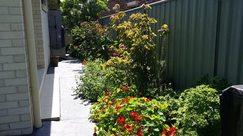Sydney Amazing Holiday Home Bridal BnB - Accommodation Daintree 41