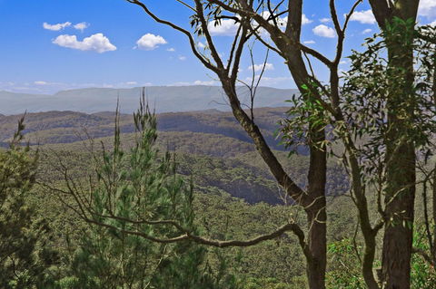 Mountainside B & B - Accommodation Daintree 9
