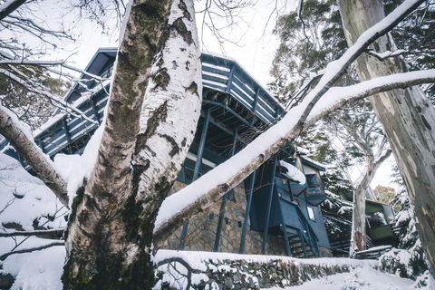 Pure Chalet Thredbo - Accommodation Daintree 21