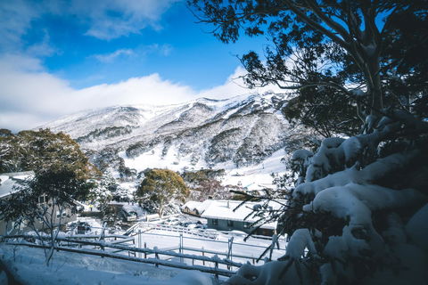 Pure Chalet Thredbo - Accommodation Daintree 31