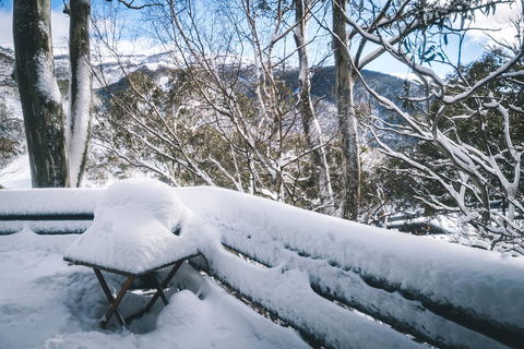 Pure Chalet Thredbo - Accommodation Daintree 19