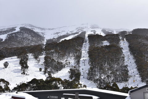 Pure Chalet Thredbo - Accommodation Daintree 6