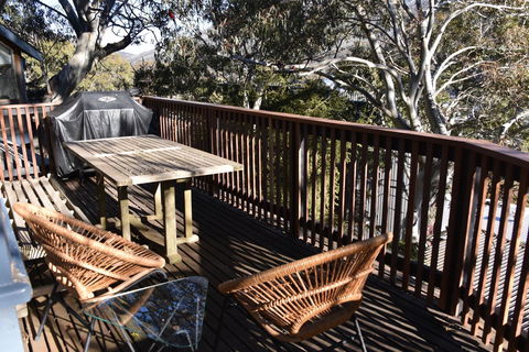 Pure Chalet Thredbo - Accommodation Daintree 1