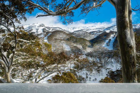 Pure Chalet Thredbo - Accommodation Daintree 17