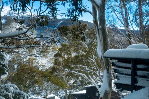 Pure Chalet Thredbo - Accommodation Daintree 30