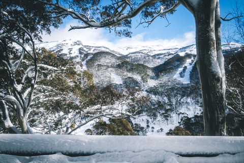 Pure Chalet Thredbo - Accommodation Daintree 2