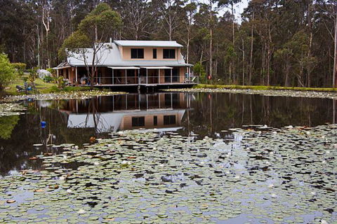 Jackson Ranch By Bannisters - Accommodation Daintree 26