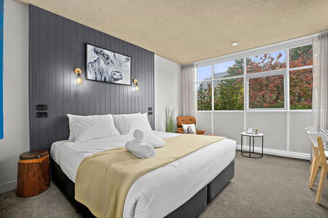 City Centre Motel Armidale - Accommodation Daintree 8