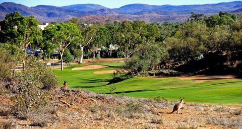 Desert Palms Alice Springs - Accommodation Daintree 30