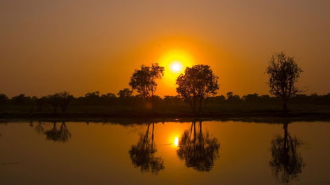 Mercure Kakadu Crocodile - Accommodation Daintree 26