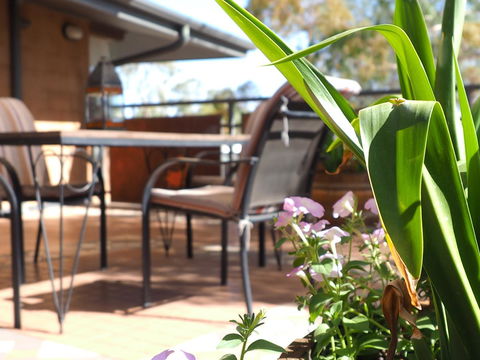 Wilmots On Dixon - Accommodation Daintree 15