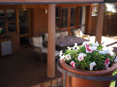 Wilmots On Dixon - Accommodation Daintree 2
