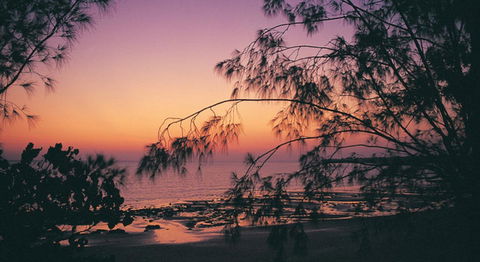 Darwin Beach Escape Holiday Home - Accommodation Daintree 25