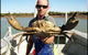 Darwin Beach Escape Holiday Home - thumb 32