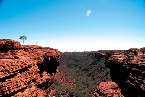 Discovery Resorts - Kings Canyon - Accommodation Daintree 38