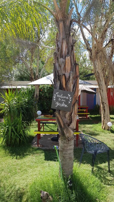 Alice\'s Secret Travellers Inn - Accommodation Daintree 16