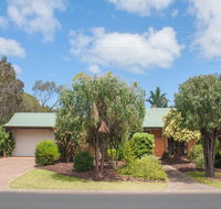 Bottlebrush - Accommodation Daintree