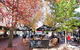 Bowral Boutique Motel - thumb 1