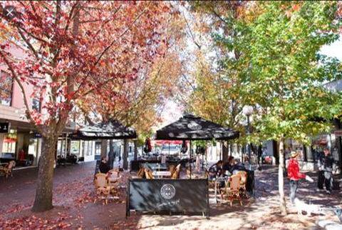 Bowral Boutique Motel - Accommodation Daintree 1