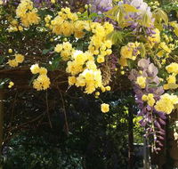 Bowral Road Bed and Breakfast - Accommodation Daintree