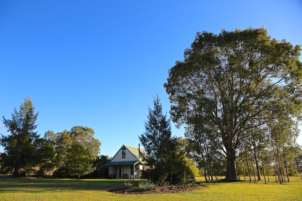 Lorn NSW Accommodation Daintree