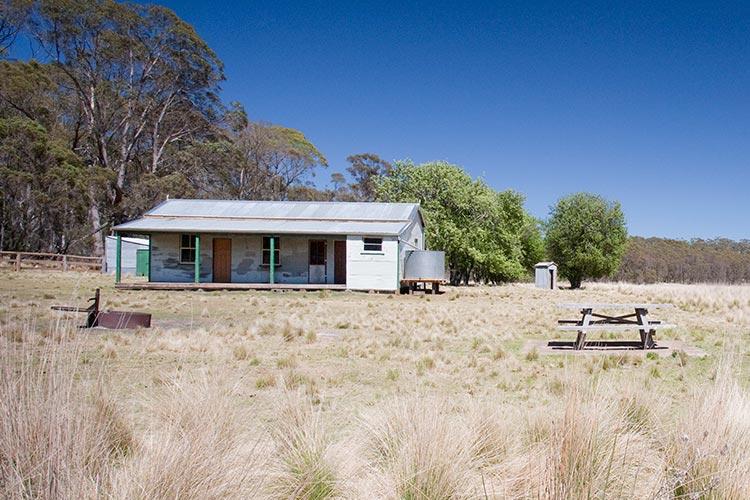 Coolah NSW Accommodation Daintree