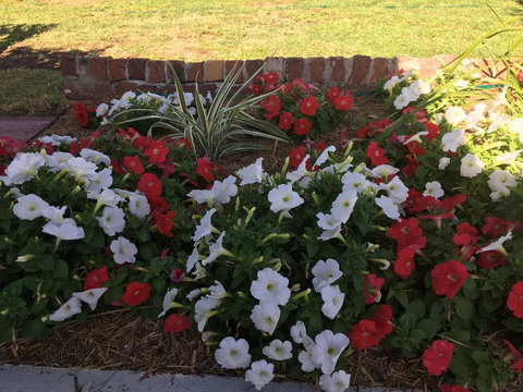 Bryants Motel - Accommodation Daintree 3