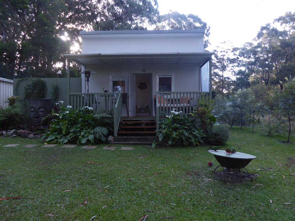 Springbrook QLD Accommodation Daintree