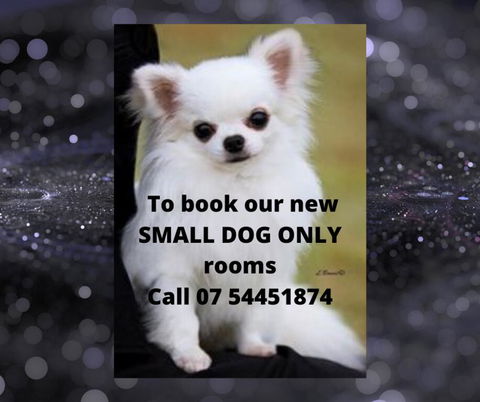 Buderim Fiesta Motel - Accommodation Daintree 0