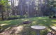 Buderim Forest Hideaway - thumb 3