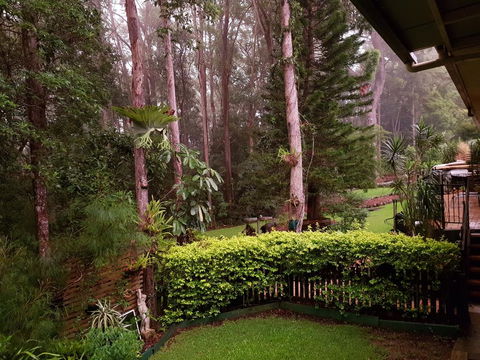 Buderim Forest Hideaway - Accommodation Daintree 2