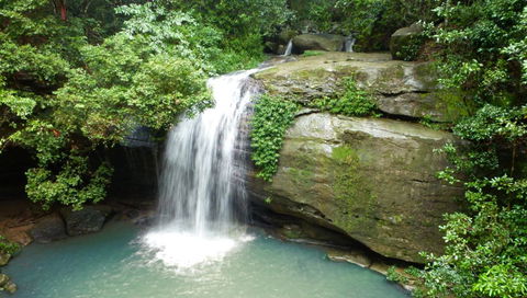 Buderim Forest Hideaway - Accommodation Daintree 0