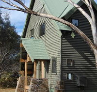 Buffalo - Accommodation Daintree