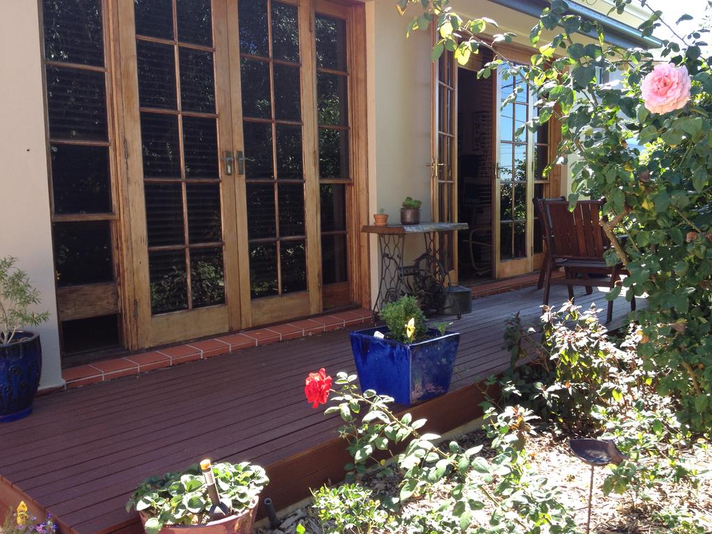 Chifley NSW Accommodation Daintree