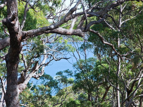 Bynya - 100m To Jonahs! - Accommodation Daintree 1