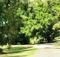 Cadaghi Cottage - Accommodation Daintree
