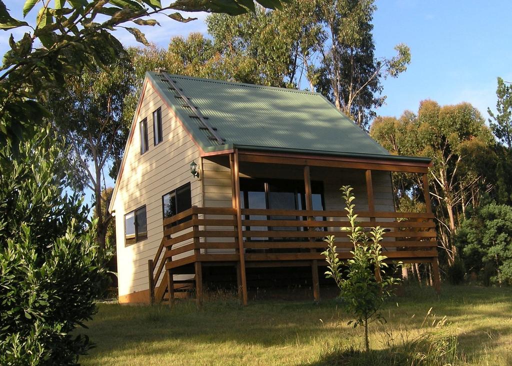Gembrook VIC Accommodation Daintree