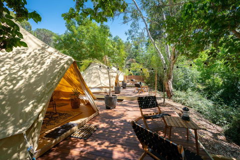 Castlemaine Gardens Luxury Glamping - Accommodation Daintree 0