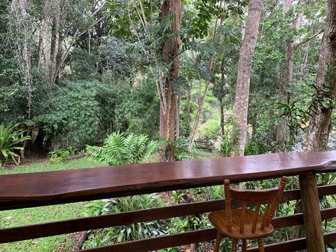 Cedar Park Rainforest Resort - Accommodation Daintree 2
